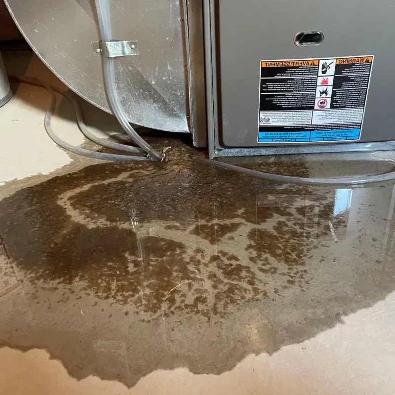 Pipe Burst and Leak Restoration in Brookings, SD